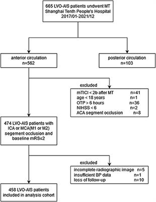 Association between blood pressure variability and clinical outcomes after successful recanalization in patients with large vessel occlusion stroke after mechanical thrombectomy